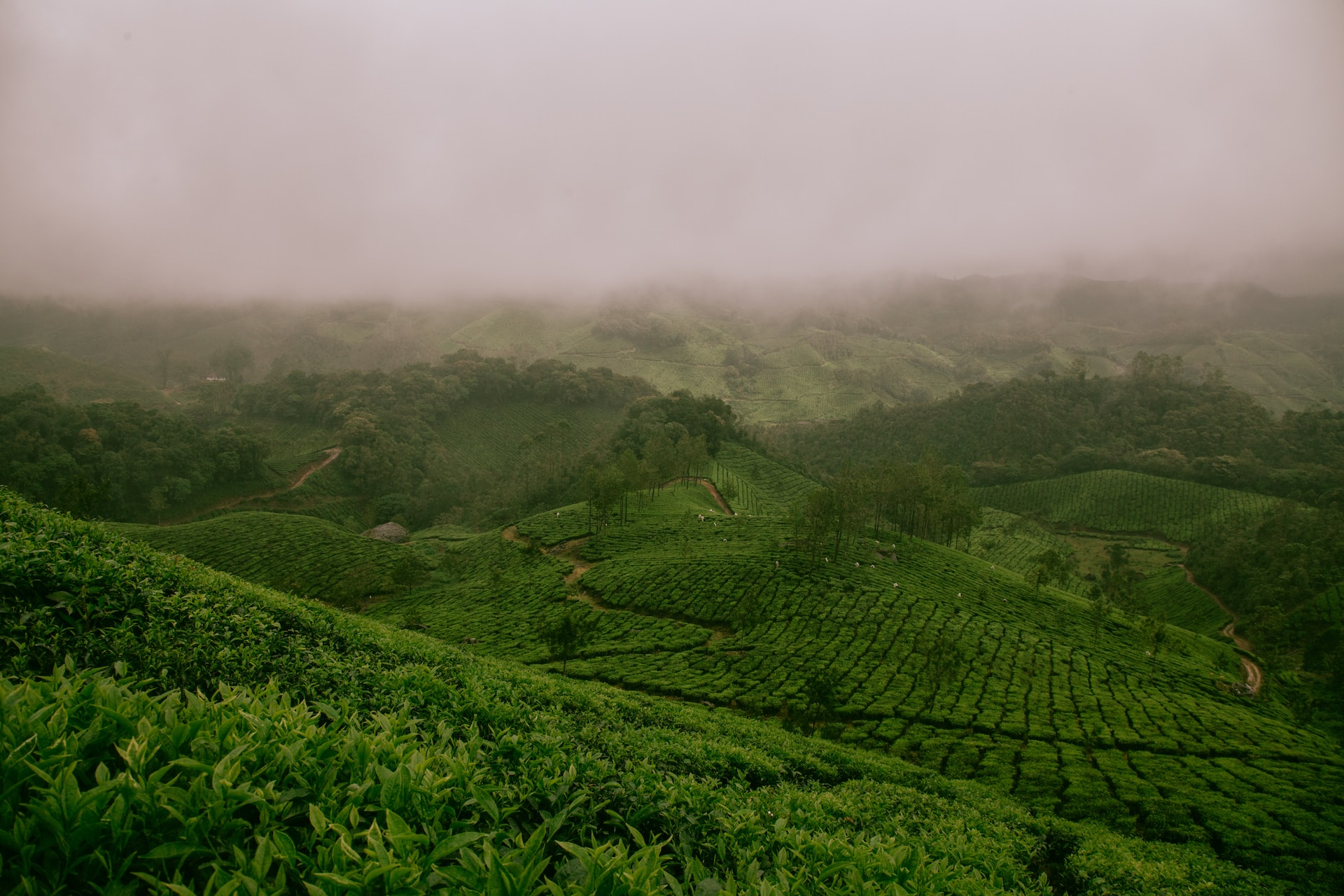 Hills Of Kerala