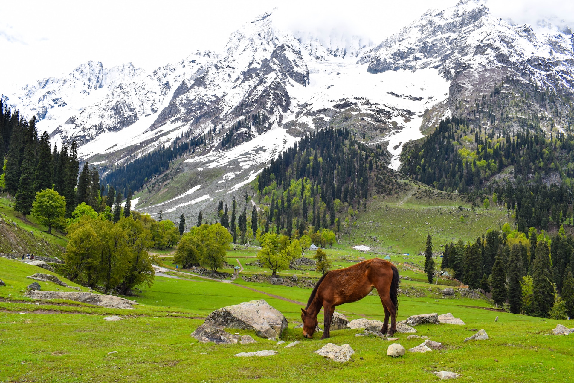 Rare Sufi Getaway Kashmir